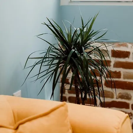 Pakis Cvl Corfu (city)